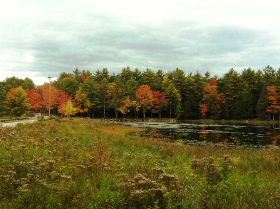 Fall foliage on display at Beaver Pond, part of the Corps' Birch Hill Dam project, Royalston, Mass. (U.S. Army Corps of Engineers photo)