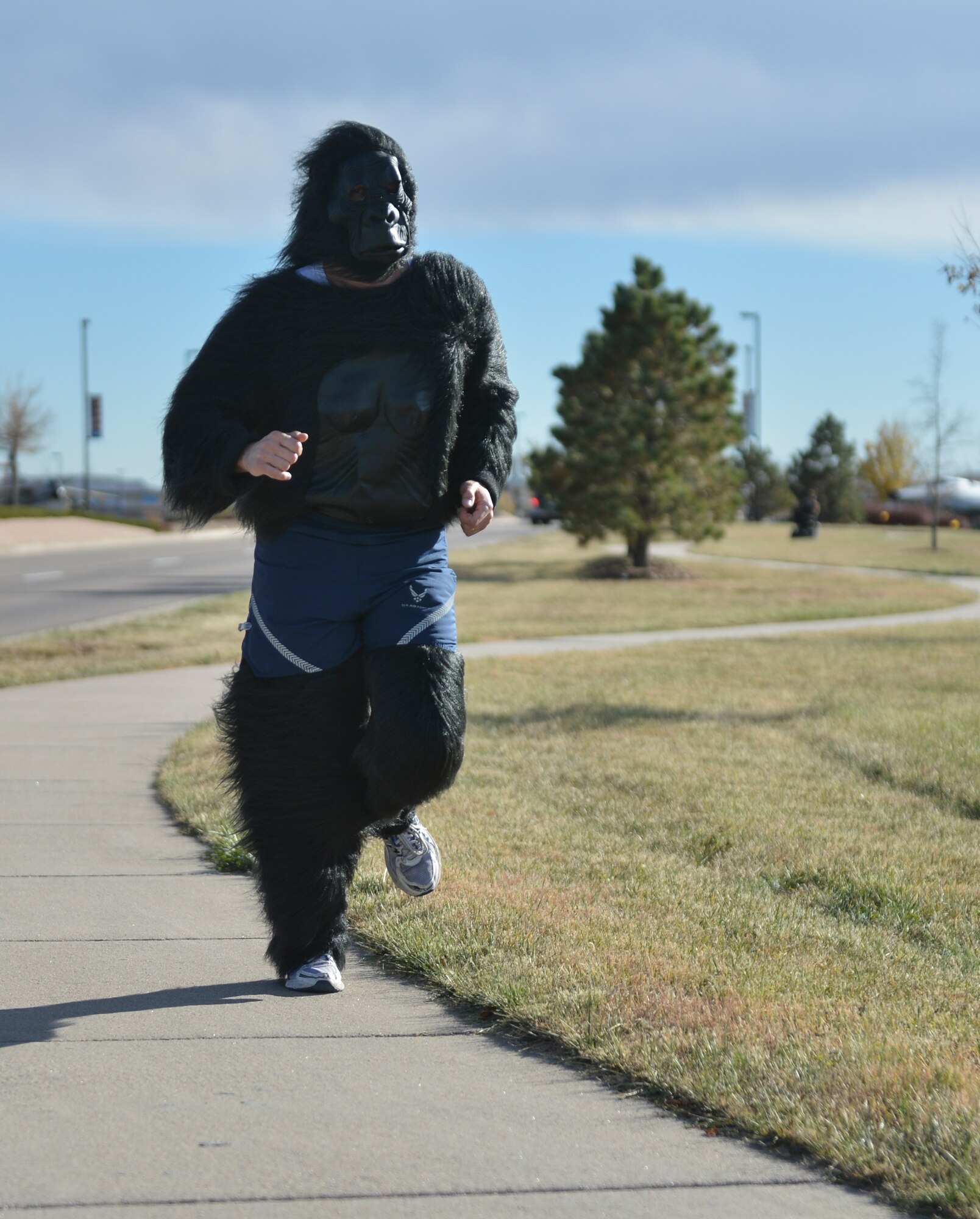 A gorilla runs in the 8th Annual Dreadful Dash Oct. 31, 2013, near the Panther’s Den on Buckley Air Force Base, Colo. More than 30 runners participated in the costume competition and 5K race.  (U.S. Air Force photo by Airman 1st Class Riley Johnson/Released)