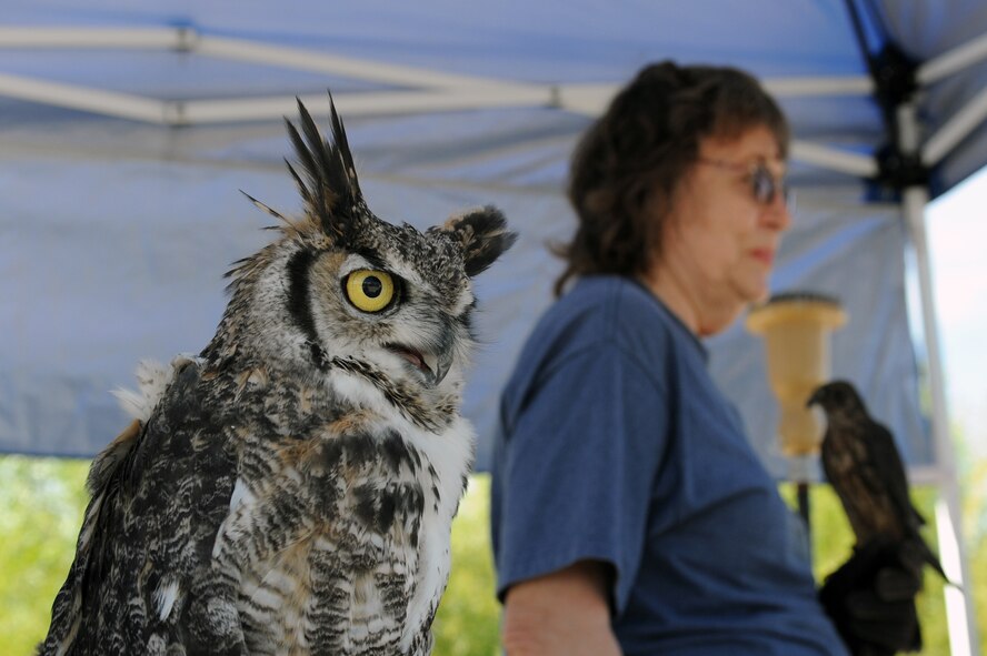 Experienced birders use live exhibits to inform festival goers about the wildlife in Arizona. (U.S. Air Force photo/Airman 1st Class Pedro Mota)