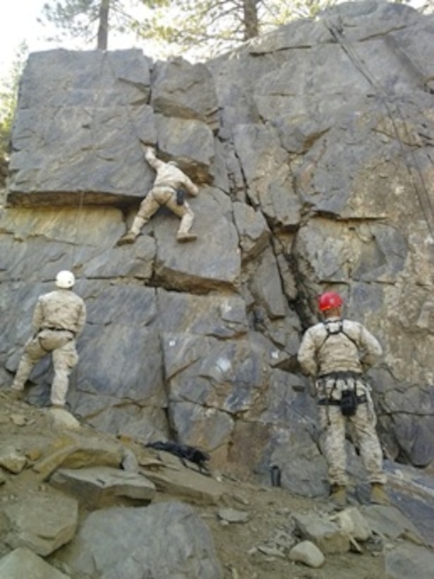 Marines are introduced to basic cliff assault techniques in the Leavitt Training Area.  Skills are developed progressively to ensure obstacles in the form of rock cliffs or steep-earth can be negotiated at night with tactical equipment.  
