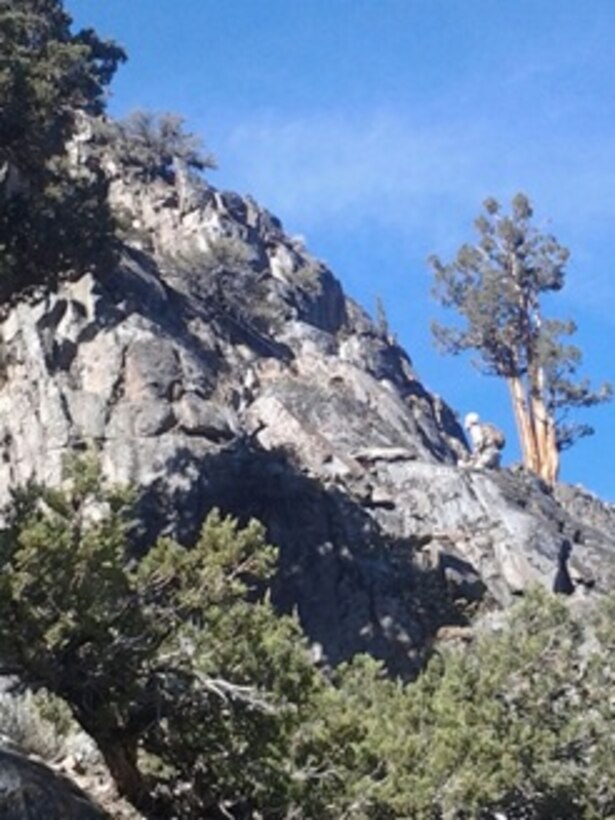 A Marine conducts assault climber training in the Big-Face area of the Leavitt Training Area at an elevation of more than 8,000 ft.  Marines train during the Marine Corps Mountain Warfare Training Center Assault Climbers Course to establish safe climbing lanes for  Marines to maneuver over cliffs and steep-earth.
