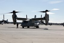 Marines from Marine Medium Tiltrotor Squadron 266 Reinforced land an MV-22B Osprey aboard Marine Corps Air Station New River during their homecoming ceremony, Nov. 4. Marines from VMM-266 (Rein.) were greeted by a crowd of friends and family, who the Marines haven't seen since they departed for the 26th Marine Expeditionary Unit 26, 8 months ago.