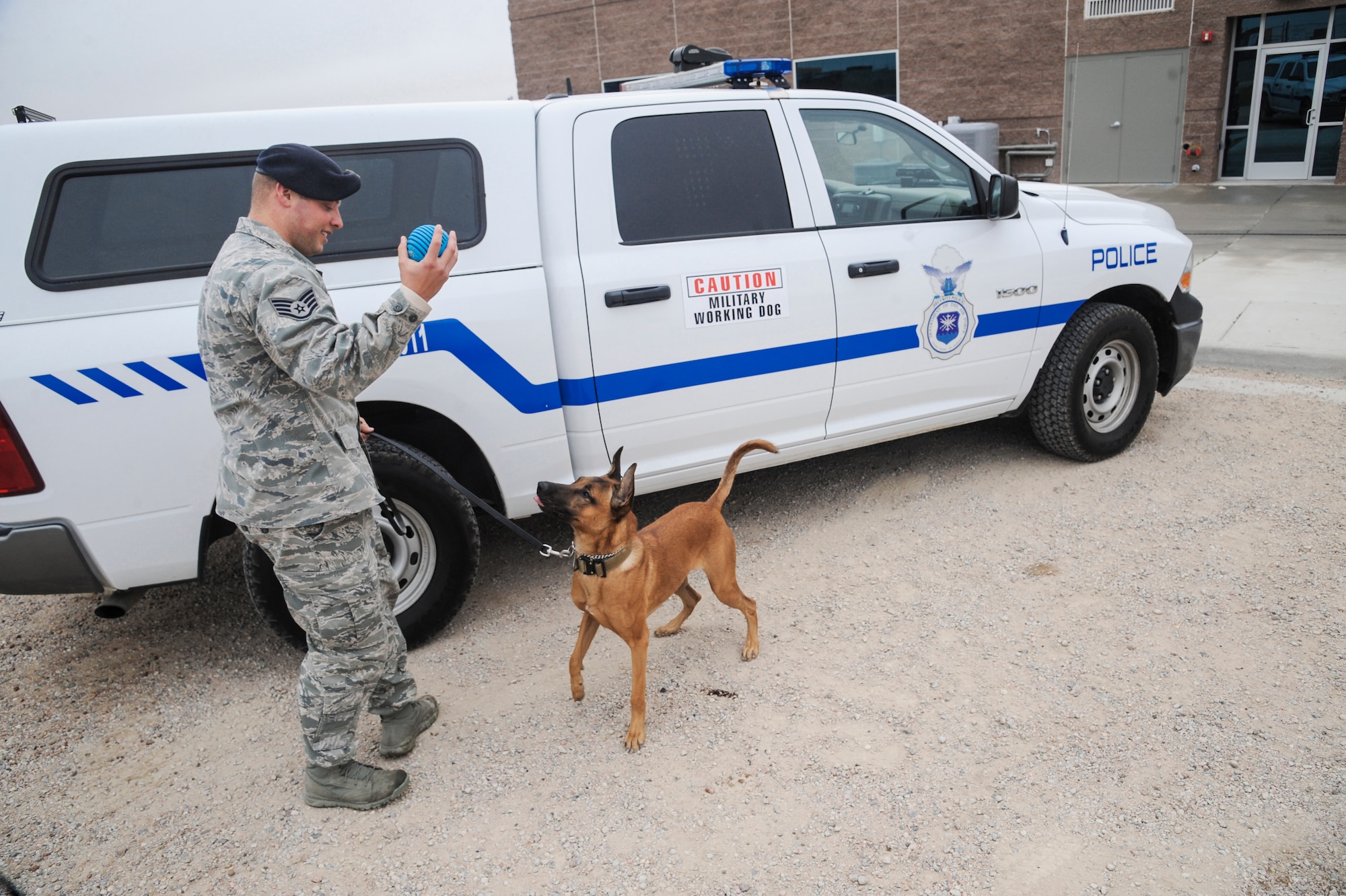 Staff Sgt. Robert Aikins, 460th Security Forces Squadron military working dog handler, and his partner Jeja, 460th SFS military working dog, play in front of the kennels on Buckley Air Force Base, Colo. Jeja is a 2-year-old Belgian Malinois hailing from Germany and is the newest member of the 460th SFS MWD team. (U.S. Air Force photo by Staff Sgt. Christopher Gross/Released) 