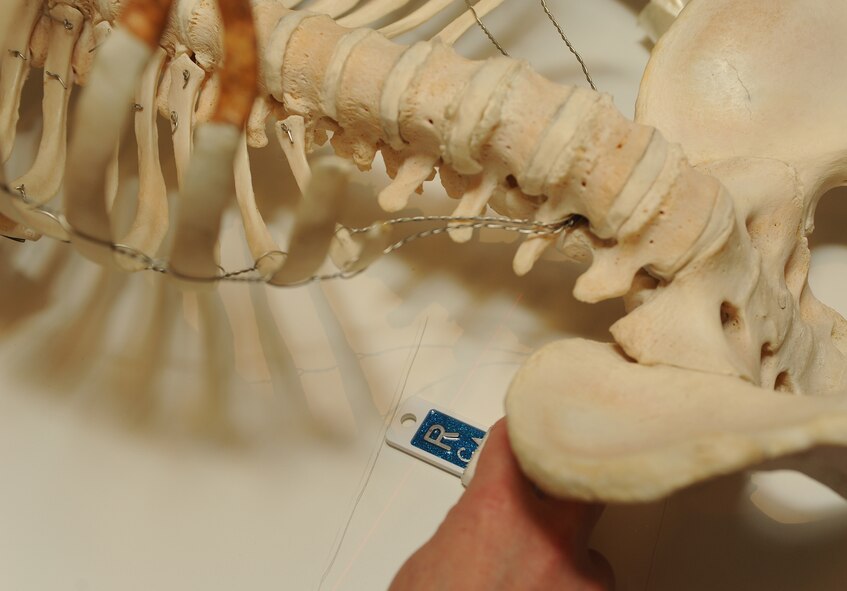 Staff Sgt Carla Hisghman, 5th Medical Support Squadron radiology technologist, places a small lead marker near a skeleton model before capturing an x-ray at Minot Air Force Base, N.D., Oct. 29, 2013. Markers assist technologists in distinguishing the placement of the body and the location of any potential injuries. (U.S. Air Force photo/Senior Airman Stephanie Sauberan)