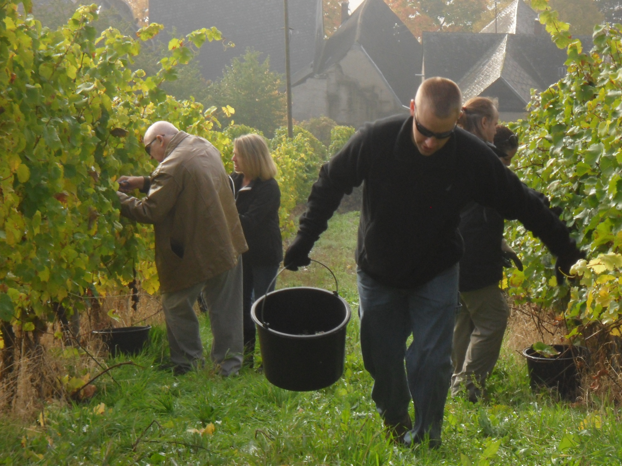 A volunteer helper carries a bucket up a vineyard slope in Piesport. A group of about 50 U.S. members from Ramstein helped a local vintner harvest the Mosel gold Riesling grapes in Piesport, Oct. 19, 2013. Over the past weeks, visitors to the Mosel area were able to see many trucks and tractors parked on the steep Mosel wine slopes, where people worked hard to harvest the grapes. Within one hour and thirty minutes the American group was able to collect the amount of grapes for approximatly 1.000 bottles of Mosel wine. Once the work was completed, the local vintner thanked the American helpers with a lunch and wine tasting. The Mosel Riesling grape harvest was just completed in the Mosel valley. (U.S. Air Force photo by Iris Reiff) 
