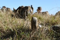 Marines with Marine Aviation Logistics Squadron 29 participate in a six-mile motivational hike, Nov. 4. The Marines reached their hiking destination and boarded CH-53E Super Stallions for transport to their origin point.