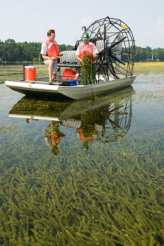 Evaluating Hydrilla on Lake Seminole.  With origins in Florida, Hydrilla is also now established in Canada and much of the United States; control and management cost millions of dollars annually. 