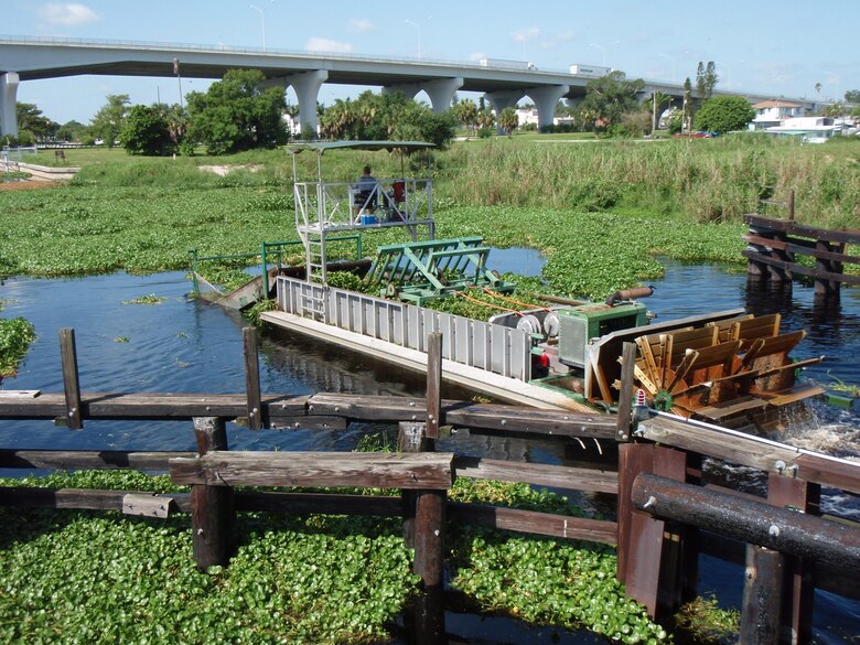 Harvesting water hyacinth on the St. Johns River.  
