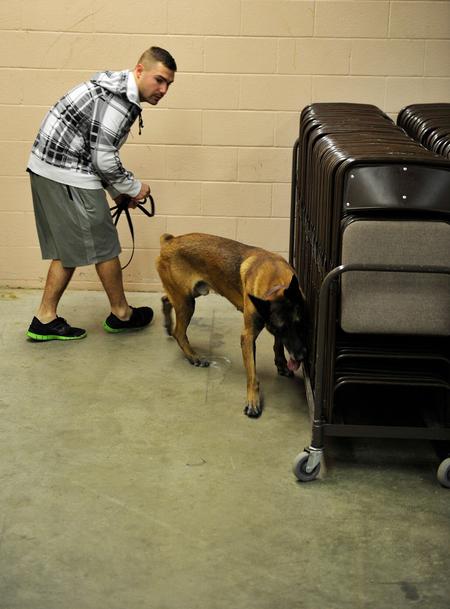 Staff Sgt. Jacob Duncan, 5th Security Forces Squadron Military Working Dog handler and MWD Arno, searches a row of chairs during detection training at the Outdoor Recreation Center at Minot Air Force Base, N.D., Nov. 5, 2013. Detection training is held twice a week by every MWD handler to meet optimal training requirements. (U.S. Air Force photo/Senior Airman Kristoffer Kaubisch)