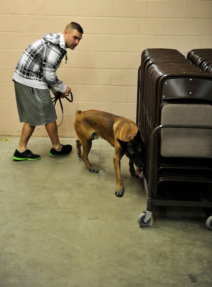 Staff Sgt. Jacob Duncan, 5th Security Forces Squadron Military Working Dog handler and MWD Arno, searches a row of chairs during detection training at the Outdoor Recreation Center at Minot Air Force Base, N.D., Nov. 5, 2013. Detection training is held twice a week by every MWD handler to meet optimal training requirements. (U.S. Air Force photo/Senior Airman Kristoffer Kaubisch)