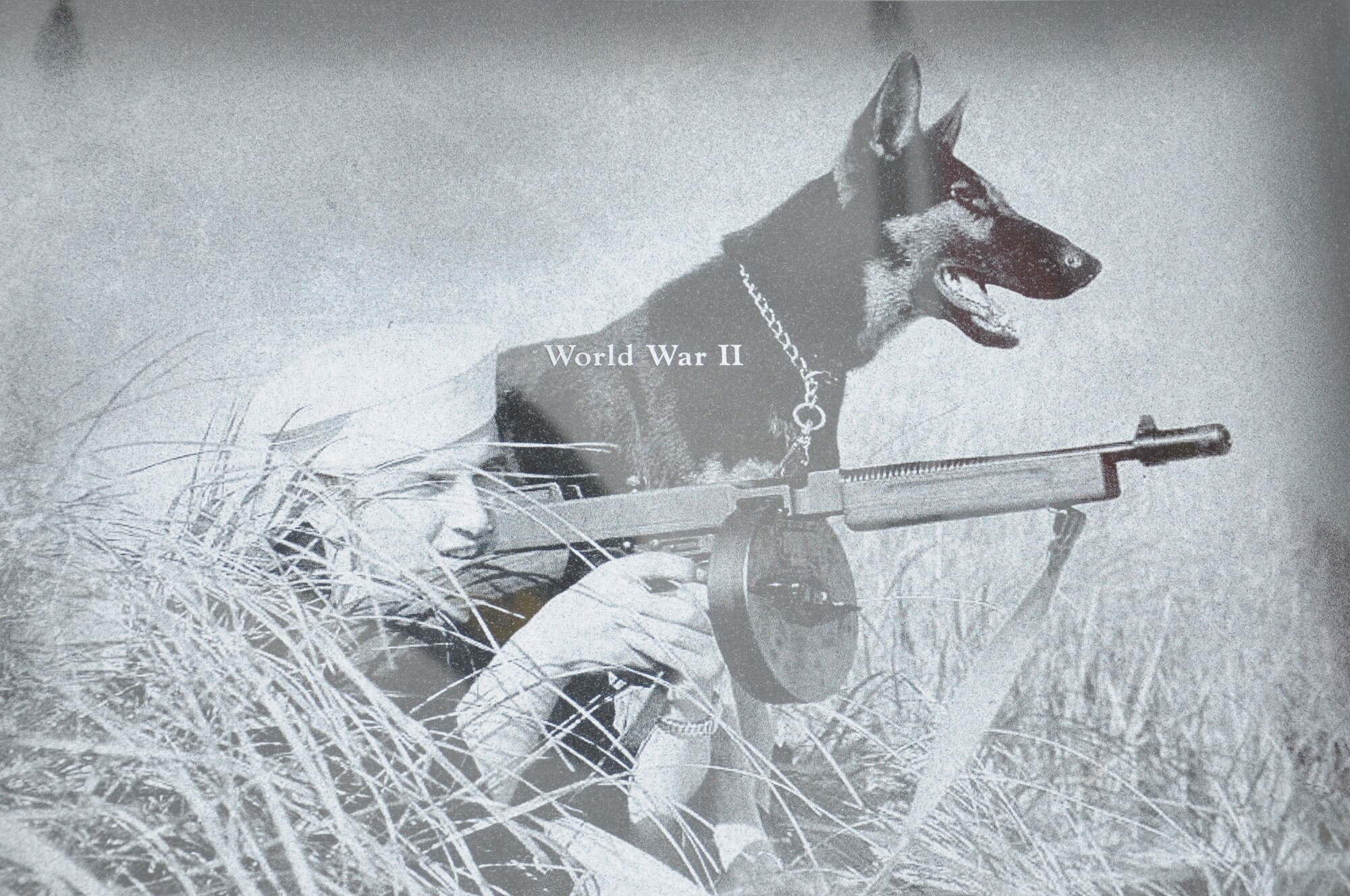A image taken in World War II of a handler with his dog was part of a collection that create a montage that is etched onto the face of the Military Working Dog Teams’ National Monument which was revealed Oct. 28, 2013 at Joint Base San Antonio-Lackland, Texas. The Department of Defense Military Working Dog Program is the world’s largest training center for military dogs and handlers and it is located at JBSA-Lackland along with the largest veterinary hospital for military dogs. (U.S. Air Force photo by Airman 1st Class Krystal M. Jeffers/Released)