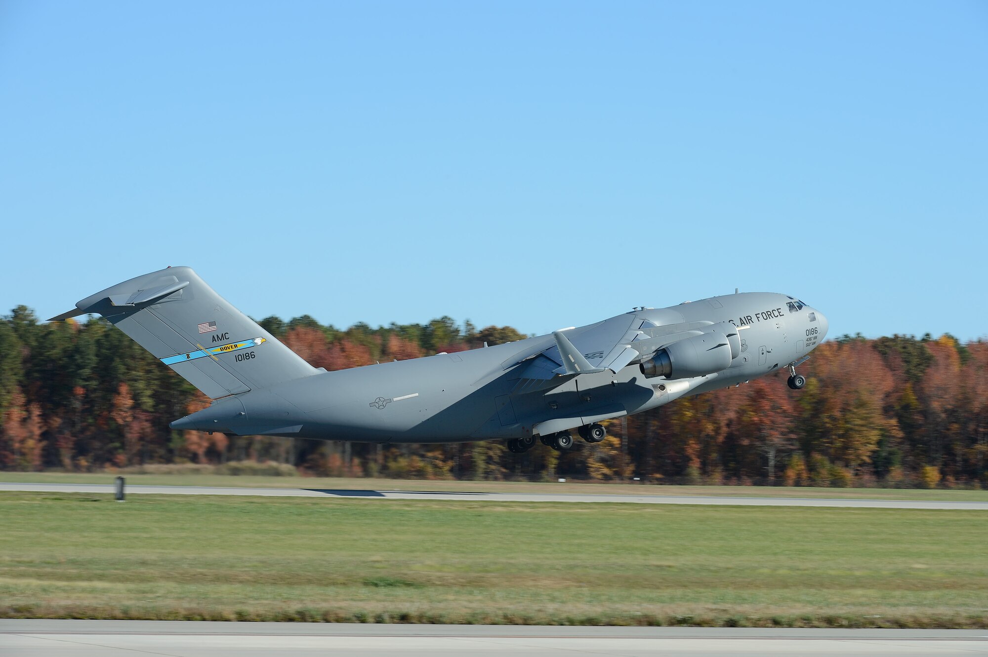 A gray C-17A Globemaster III of the 3rd Airlift Squadron, 436th Airlift Wing, contrasts greatly with colorful fall foilage as the aircraft takes off on Nov. 6, 2013, Dover Air Force Base, Del. Fall colors are currently at their peak in the region. (U.S. Air Force photo/Greg L. Davis)