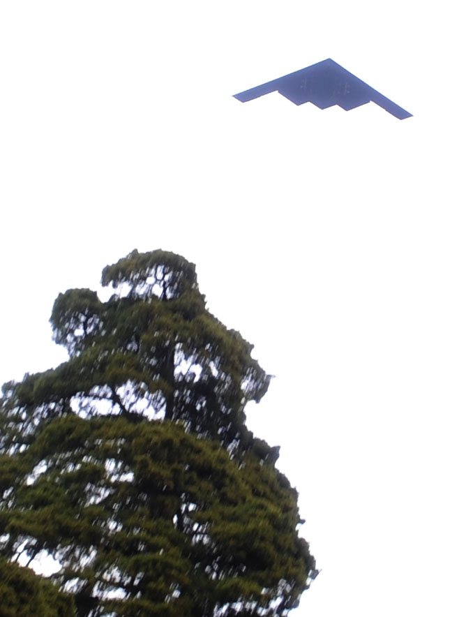 Honoring former Rep. Ike Skelton > Whiteman Air Force Base > Article