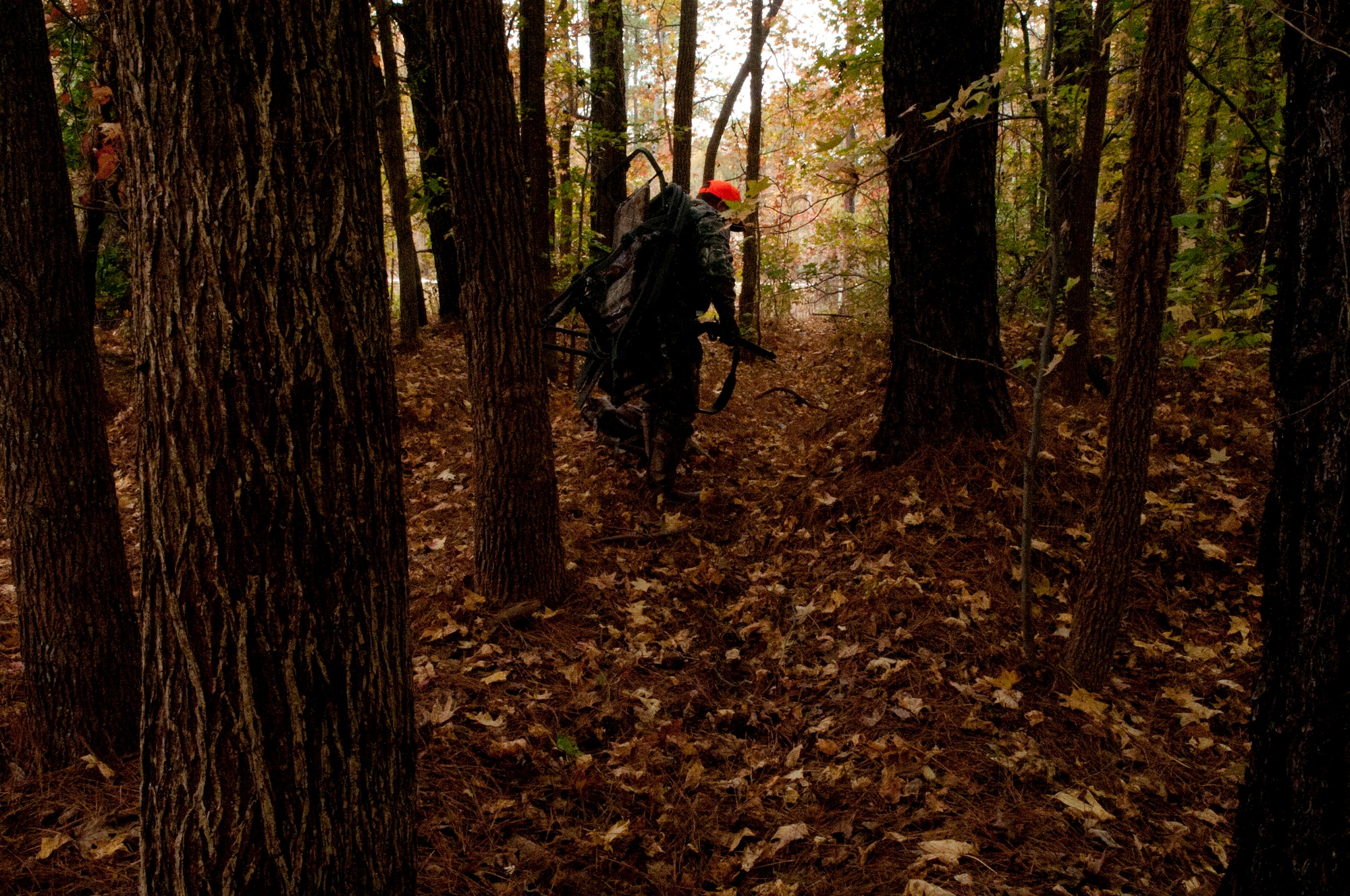 Hunter Eric Brazzale carries his hunting equipment at Fort Eustis, Va., Nov. 5, 2013.  According to hunting program managers, safety is a top priority to the hunting areas on Joint Base Langley-Eustis.  (U.S. Air Force photo by Shaun Eagan/Released)  
