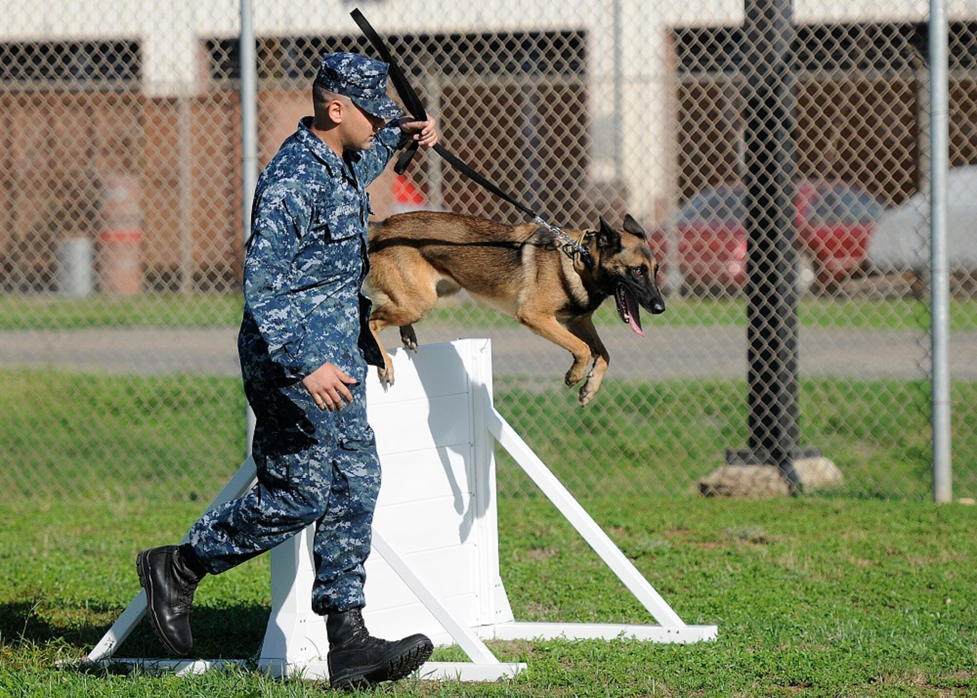 Seaman Christopher Rivera, Joint Base Pearl Harbor-Hickam Military Working Dogs Section master-at-arms, runs his K-9 partner, Asga, through an obstacle course at the base kennel Feb. 6, 2012, at JB PHH, Hawaii. (U.S. Navy courtesy photo/Released)