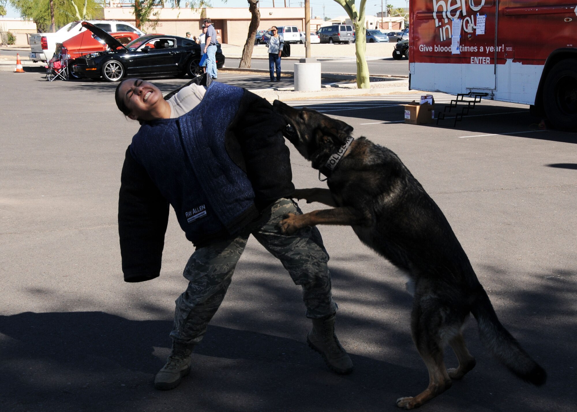 Staff Sgt. Pricilla Saenz, 56th Security Forces Squadron Military Working Dog handler, simulates an adversary as Oscar, retired MWD, responds to a command during Retiree Appreciation Day. (U.S. Air Force photo/Tech. Sgt. Louis Vega Jr.)