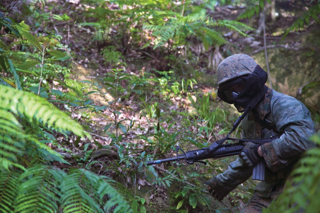 A Marine patrols through rough, unfamiliar terrain as he pursues a mock enemy  Oct. 29 at the Jungle Warfare Training Center during the jungle leaders course. In order to differentiate the teams, some Marines wore their blouses inside-out. Throughout the course, the Marines navigated and operated in unfamiliar terrain. (U.S. Marine Corps photo by Lance Cpl. Anne K. Henry/Released)
