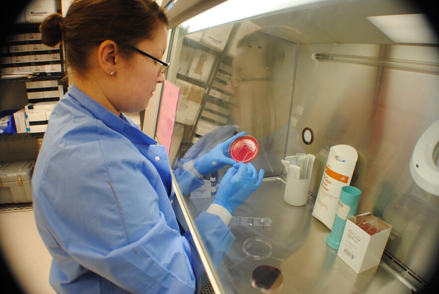 Senior Airman Katherine Herzer, 319th Medical Support Squadron laboratory technician, transfers bacteria cultures using a bio-safety examining cabinet Nov. 8, 2013, on Grand Forks Air Force Base, N.D. As an Air Force medical lab technician, the 22-year-old from Evansville, Ind., went through a four-month-long training course at Sheppard AFB, Texas, for the first phase of their technical training. (U.S. Air Force photo/Staff Sgt. Luis Loza Gutierrez)