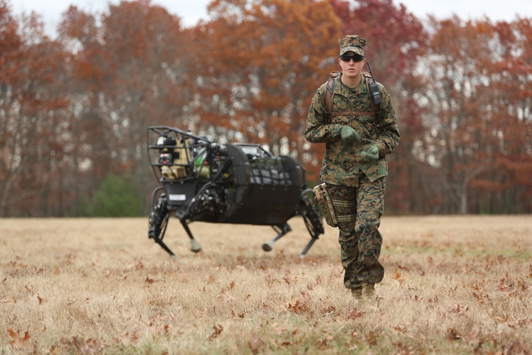 PFC Marcus Beedle leads the mule-like robot known as the Legged Squad Support System on a patrol through open terrain at Fort Devens Mass.  Beedle, working with other Marines from 1st Battalion, 5th Marine Regiment learned how to control LS3 and work it into basic formations and maneuvers during the limited technical assessment at Fort Devens.  This was the first time Marines have been given control of LS3 since the Warfighting Lab began working with the Defense Advanced Research Projects Agency (DARPA) and the system's developer Boston Dynamics.  The Warfighting Lab is working with the DARPA and Boston Dynamics to explore concepts that can potentially lighten the load of Marine units.  LS3, still in the early stages of development, is capable of carrying 400 pounds of gear and traversing terrain that wheeled and tracked vehicles cannot.
(Official USMC Photo by Kyle J. O. Olson)

