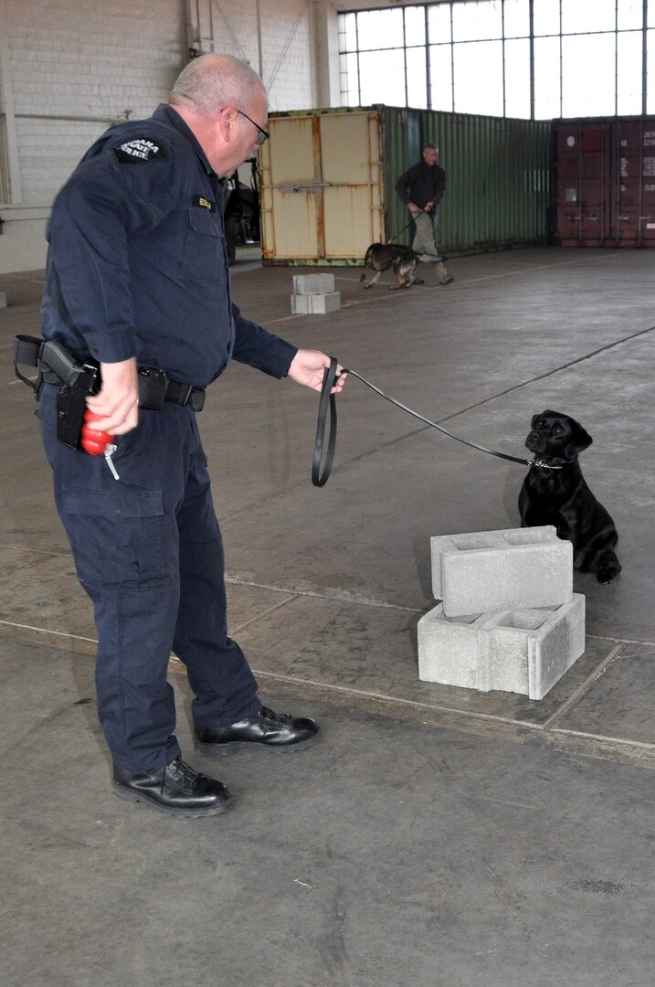 Cpl. David Poynter of the Indiana State Police works with explosive-detecting dog Mela during a multiagency training exercise at Indiana National Guard headquarters in Indianapolis, Nov. 4, 2013.
