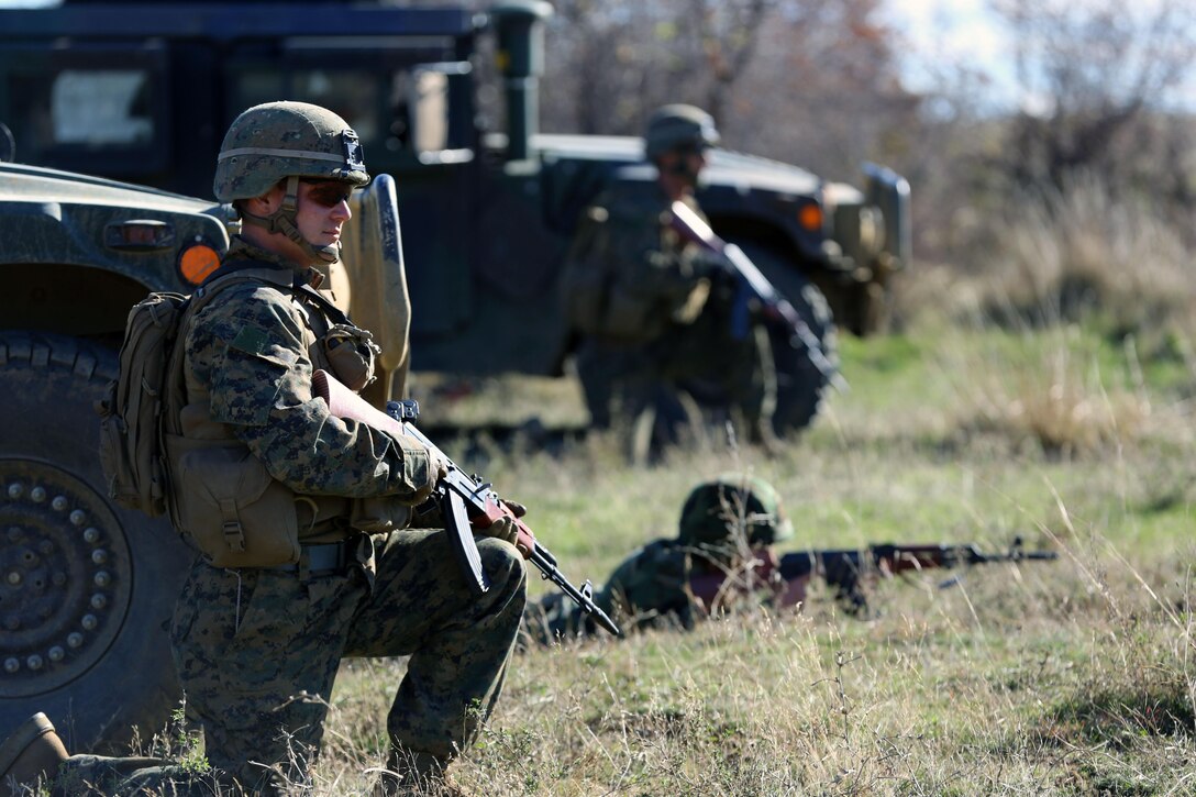 Corporal Nicholas Zablonski, a team leader and vehicle commander with Black Sea Rotational Force 14, takes a knee during the defensive operation of Exercise Peace Sentinel in Novo Selo, Bulgaria, Nov. 7, 2013. The two-week long exercise included cordon-and-search tactics and battalion-sized defense and raid operations that included dismounted, mounted, and combined-arms tactics.
