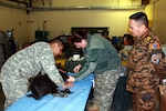 Mongolian Col. Davaadorj Rendoo, Mongolian armed forces general staff, observes U.S. military medical professionals perform veterinary services on a dog in Northway, Alaska. During Operation Arctic Care, medical teams deploy to remote areas of Alaska to treat general health patients, in addition to providing dental care, eye exams and veterinary care.