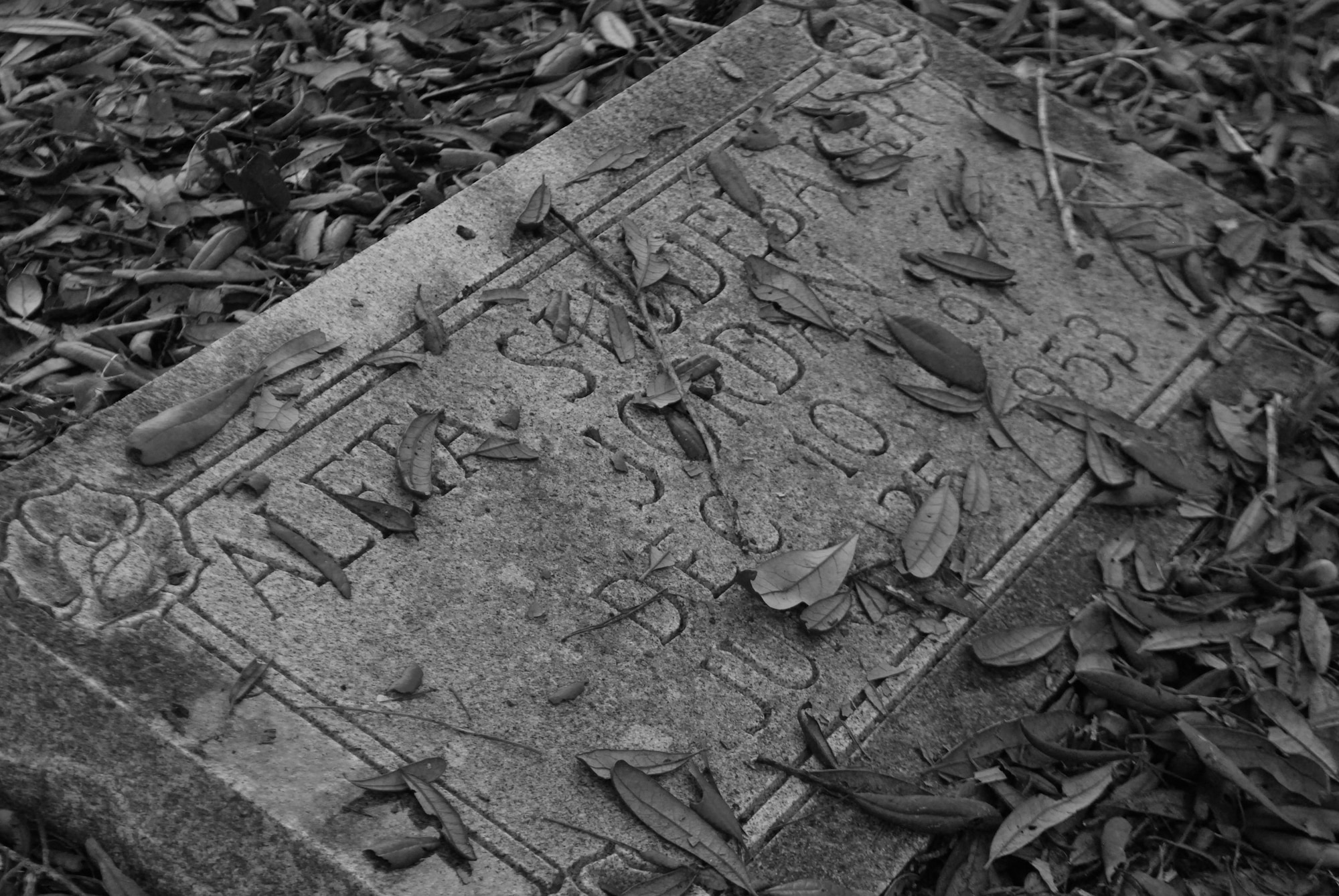 A headstone lies covered with autumn leaves at Marywood Cemetery. Marywood Cemetery is one of eleven grave sites at Tyndall. (U.S. Air Force photo by 2nd Lieutenant Christopher Bowyer-Meeder)