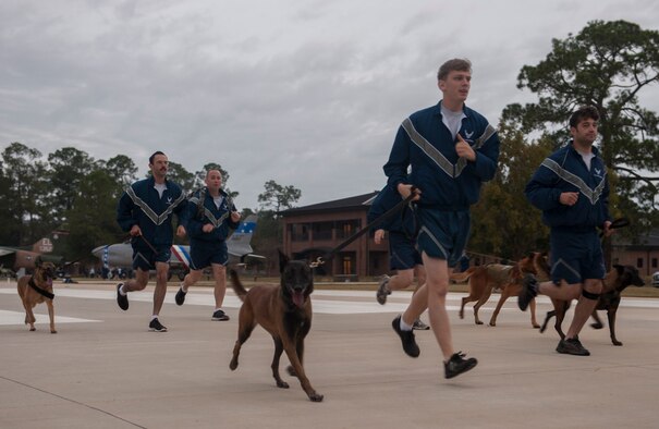 U.S. Air Force Airmen run with their K-9 companions during a Comprehensive Airman Fitness (CAF) Day at Moody Air Force Base, Ga., Nov. 15, 2013. CAF Day is made up of four different pillars: mental, physical, spiritual and social to help Airmen stay resilient. (U.S. Air Force photo by Airman 1st Class Alexis Grotz/Released)