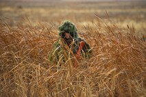 An Airman from the 91st Security Forces Group hides in tall grass during a recapture, recovery exercise, Nov. 14, 2013. The exercise is used as a training tool to evaluate the responding forces, their reaction of denying access to the resource from hostile actions, and recovery of the resource if access is gained. (U.S. Air Force photo/Senior Airman Brittany Y. Auld) 