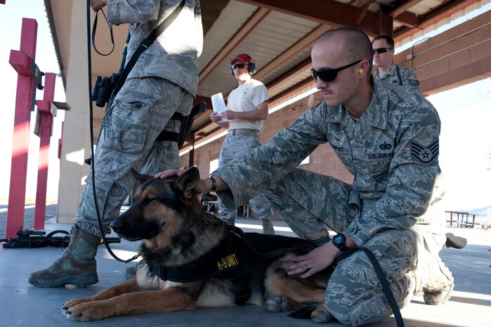 U.S. Air Force Staff Sgt. Matthew Templet, 99th Security Forces Squadron military working dog handler, comforts military working dog Habo during live-fire training Nov. 15, 2013, at Nellis Air Force Base, Nev. The MWD teams took part in the MWD Course of Fire, which is designed to improve and evaluate the canine’s behavior when exposed to the sound of gunfire. (U.S. Air Force photo by Airman 1st Class Joshua Kleinholz)
