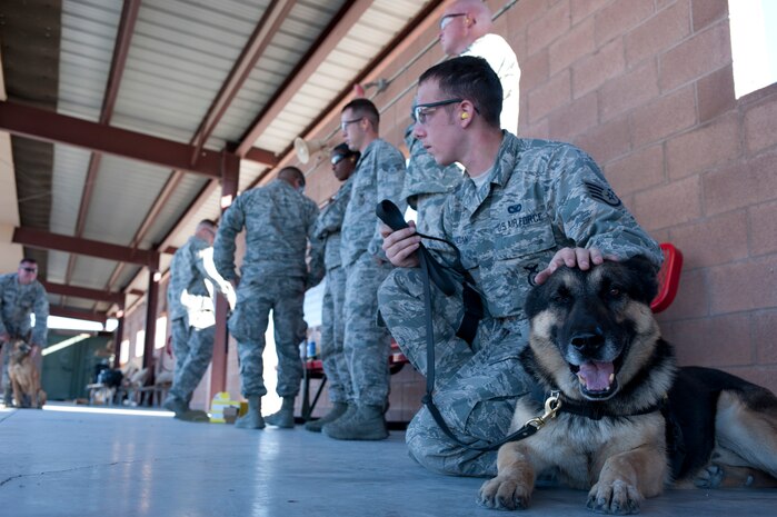 U.S. Air Force Staff Sgt. Matthew Lenegan, 99th Security Force Squadron military working dog handler, kneels with his military working dog Nero, during a Military Working Dog Course of Fire exercise Nov. 15, 2013, at Nellis Air Force Base, Nev.  Nero is one out of two canines undergoing the firing exercise. This training is to get the canines familiar to the sound of gunfire at very close range and be able to respond appropriately. (U.S. Air Force photo by Airman 1st Class Joshua Kleinholz)