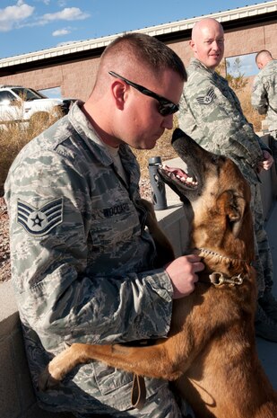 U.S. Air Force Staff Sgt. Andrew Woodard, 99th Security Force Squadron military working dog handler, plays with his military working dog Prada as they wait to take part in an exercise at Nellis Air Force Base, Nev. Nov. 15, 2013. Prada is a Belgian Malinois, a breed commonly trained as working and protection dogs. (U.S. Air Force photo by Airman 1st Class Joshua Kleinholz)
