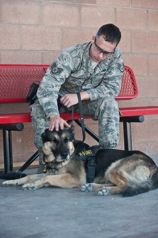 U.S. Air Force Staff Sgt. Matthew Lenegen, 99th Security Forces Squadron military working dog handler, pets Nero, 99th SFS military working dog, during a military working dog Course of Fire exercise at the firing range Nov. 15, 2013, at Nellis Air Force Base, Nev. Before becoming a MWD for Nellis AFB, canines get their initial training at the 341st Training Squadron at Joint Base San Antonio, Texas. (U.S. Air Force photo by Senior Airman Matthew Lancaster)