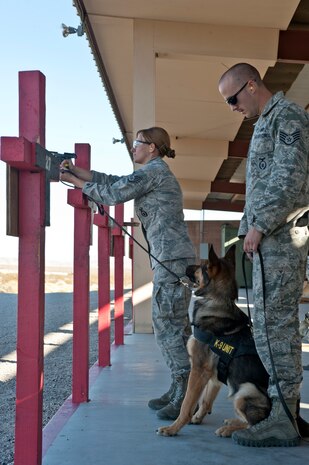 U.S. Air Force Staff Sgt. Bobbie Ohm, 99th Security Forces Squadron military working dog handler, fires an M9 Beretta hand gun with Habo, 99th SFS military working dog, next to her while Staff Sgt. Matthew Templet, 99th SFS military working dog handler, keeps him under control during a military working dog Course of Fire exercise at the firing range Nov. 15, 2013, at Nellis Air Force Base, Nev. This course is to train canines to handle the sound of gun fire without overreacting. (U.S. Air Force photo by Senior Airman Matthew Lancaster)