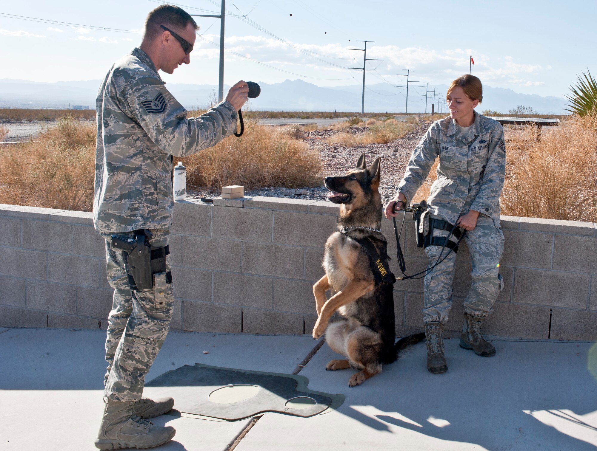 U.S. Air Force Tech. Sgt. Tanner Grutz and Staff Sgt. Bobbie Ohm, 99th Security Forces Squadron military working dog handlers, play with Habo, 99th SFS military working dog, during a military working dog Course of Fire exercise at the firing range Nov. 15, 2013, at Nellis Air Force Base, Nev. Handlers play and train with their dogs to maintain their fitness and skill. (U.S. Air Force photo by Senior Airman Matthew Lancaster)