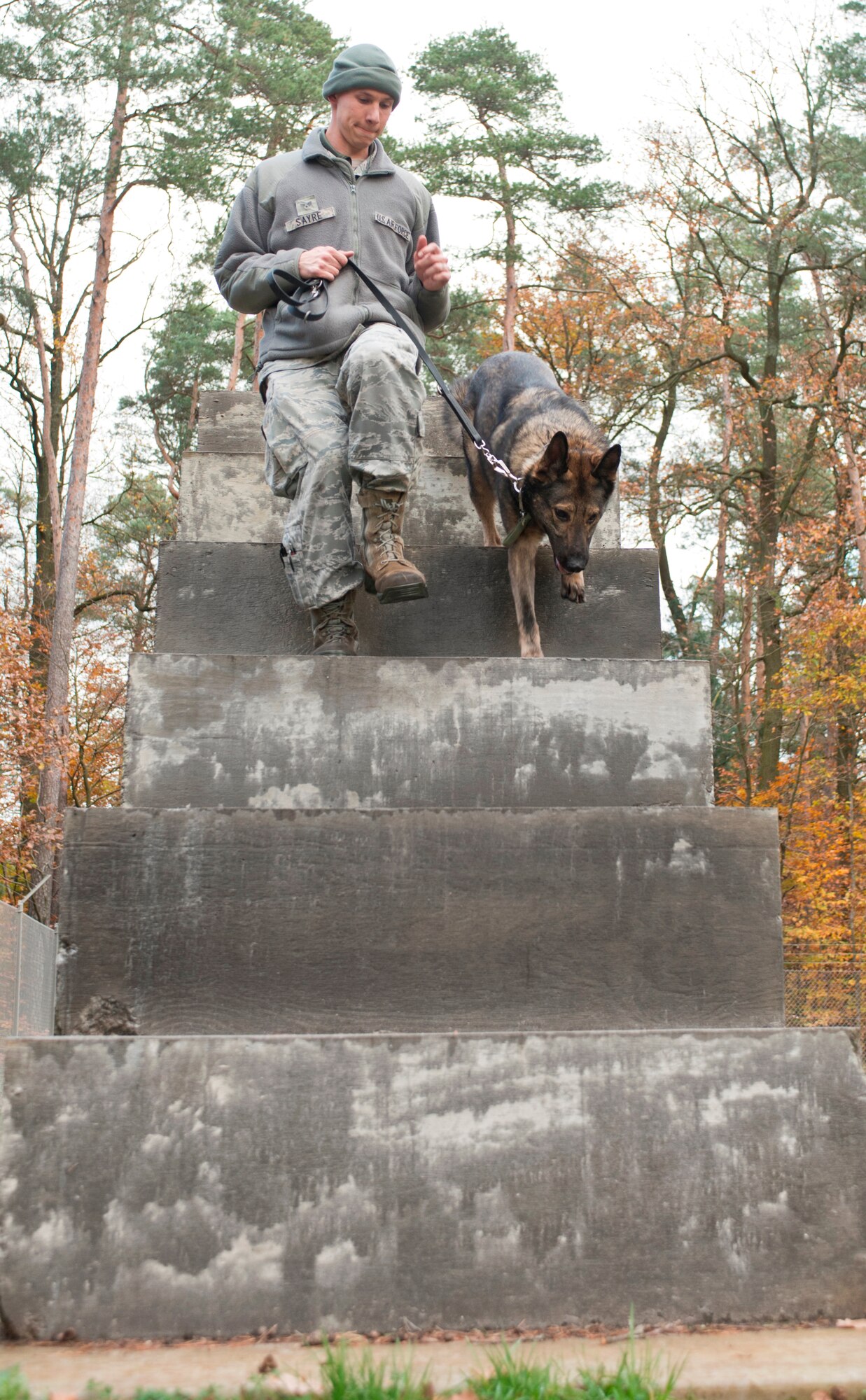 Senior Airman Michael Sayre, 86th Security Forces Squadron military working dog handler, runs his K-9, Charly, through the stairs portion of the MWD obstacle course, Nov. 13, 2013, Ramstein Air Base, Germany. The stairs simulate an unsteady environment that the dog may encounter during a deployment, this portion shows the handler that their K-9 can traverse up, do the job and get down safely. (U.S. Air Force photo/Senior Airman Jonathan Stefanko)