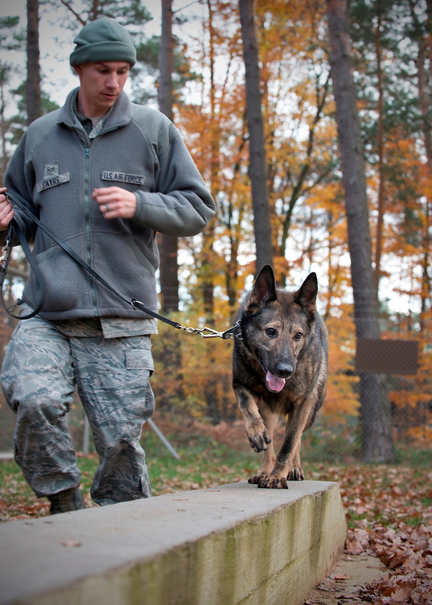 Senior Airman Michael Sayre, 86th Security Forces Squadron military working dog handler, runs his K-9, Charly, through the MWD obstacle course, Nov. 13, 2013, Ramstein Air Base, Germany. The course simulates what working dogs may encounter during a mission, preparing them for various situations. (U.S. Air Force photo/Senior Airman Jonathan Stefanko)
