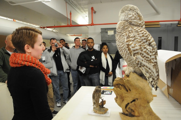 In the north attic of the National Museum of Natural History, Kelsey Falquero, museum technician with the Smithsonian Institution’s Office of Education and Outreach, uses two stuffed owls to illustrate the importance of photographing items with an object that can be referenced for scale. Her audience is a group of civil affairs Marines attending the Marine Corps Civil-Military Operations School aboard Quantico, who toured the museum Nov. 13 as part of their arts, monuments and archives training.