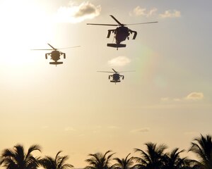 A formation of three UH-60 Blackhawk helicopters assigned to Joint Task Force-Bravo's 1-228th Aviation Regiment makes an approach for a landing at Puerto Castilla, Honduras, Nov. 19, 2013.  The helicopters were flying a mission that was part of a week-long Collective Training Exercise (CTE) being conducted by the 1-228th.  (U.S. Air Force photo by Capt. Zach Anderson)