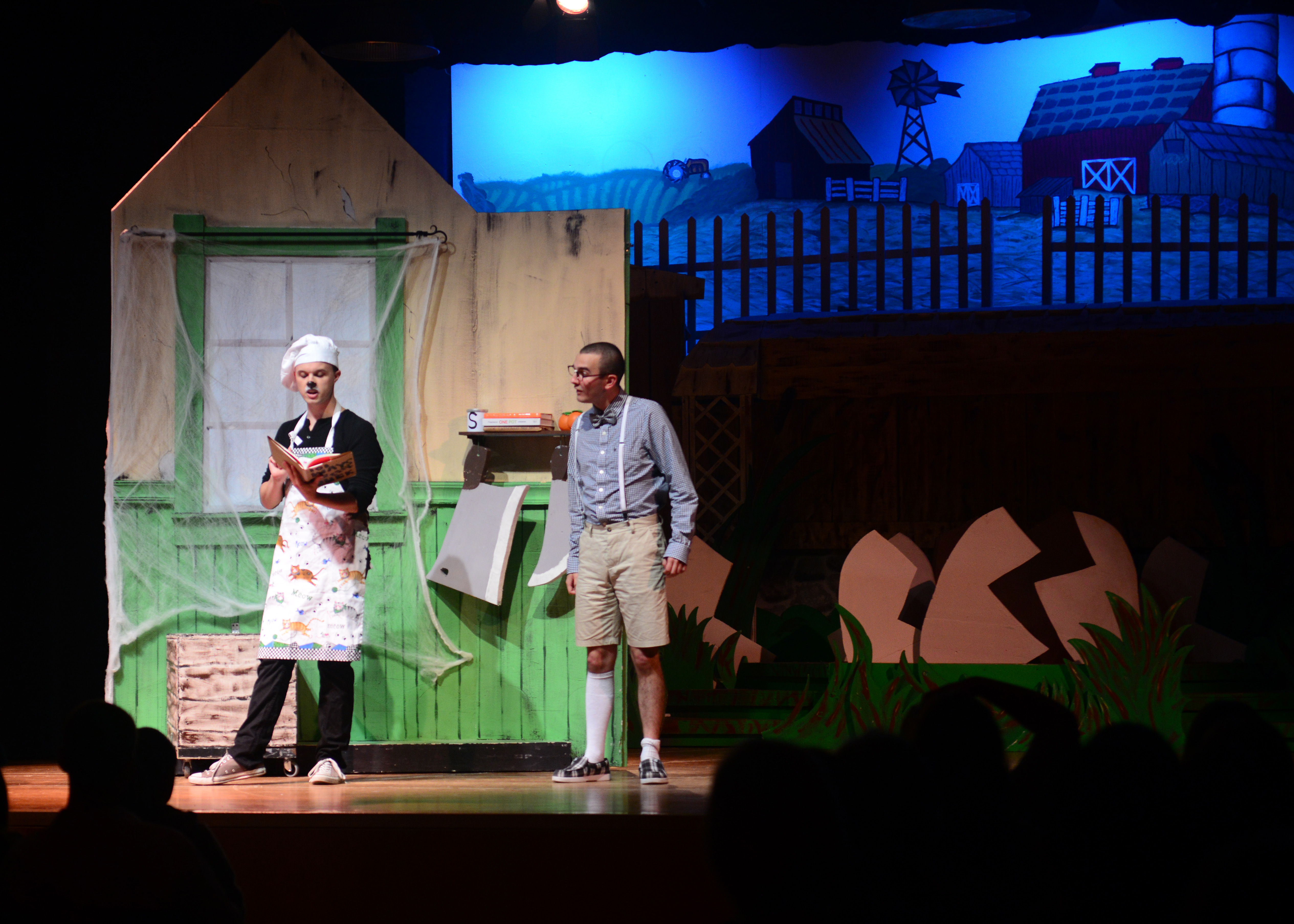 The Curtain Calls Performing Arts Aviano Air Base News Display