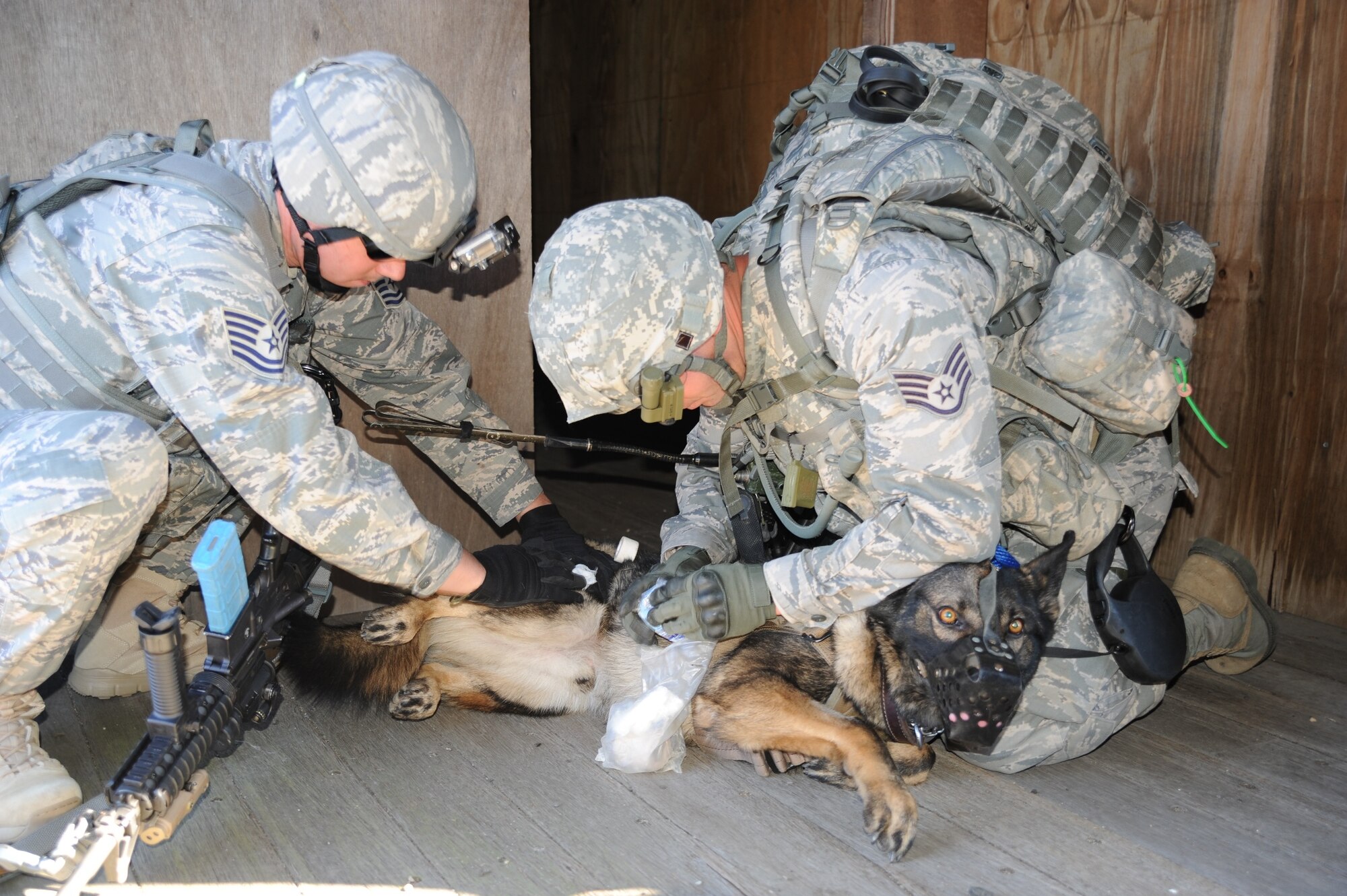 Tech. Sgt. Nathan Combs, Joint Base Pearl Harbour-Hickam military working dog handler, and Staff Sgt. Brandon Serena, Patrick Air Force Base, Fla., MWD handler, perform first aid exercises on Dome, a MWD, during the MWD Base Security Operations Course Nov. 10, 2013, at Joint Base McGuire-Dix-Lakehurst, N.J. (U.S. Air Force photo by Staff Sgt. Nathaniel Bevier/Released)