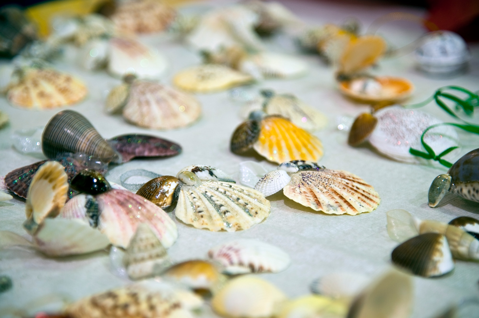 Sea shell ornaments made by youth center children are on display during the youth center’s Thanksgiving celebration on Hurlburt Field, Fla., Nov. 21, 2013. The crafts were sold for donations toward creating care packages for deployed Airmen. (U.S. Air Force photo/Senior Airman Michelle Vickers) 