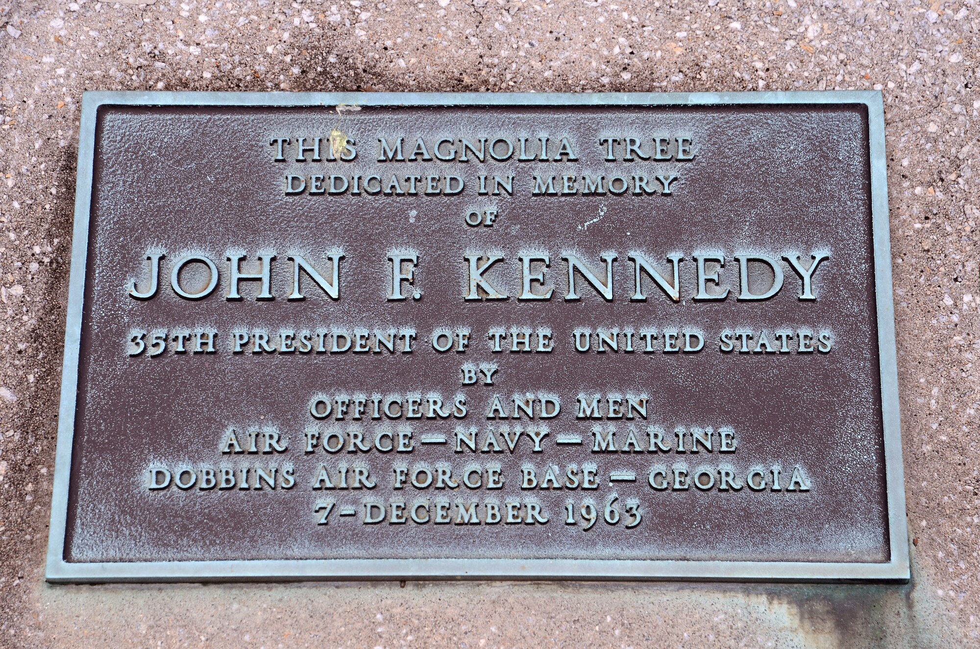 A magnolia tree dedicated in memory of John F. Kennedy, the 35th President of the United States is located behind building 833, Civilian Personnel, Dobbins Air Reserve Base, Ga. Brig. Gen. George H. Wilson, Dobbins Air Force Base commander, ordered a tree be planted on base in memory of the President on Dec. 7, 1963. Members of Air Force Reserve units, the Marine Air Detachment, the Naval Air Station and the Georgia Air National Guard participated in the planting. (U.S. Air Force photo/Brad Fallin)
