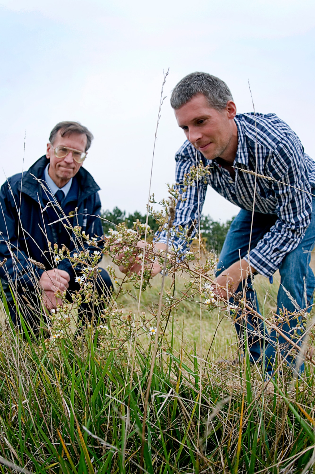 Cory Walters, 434th Civil Engineer Squadron biological scientist, right, and David Hughes, 434th CES base civil engineer, check out wild aster flowers growing along the natural habitat trail at Grissom Air Reserve Base, Ind., Oct. 30, 2013. The trail turns a cost-saving measure into a scenic walkway for base employees. (U.S. Air Force photo/Tech. Sgt. Douglas Hays)