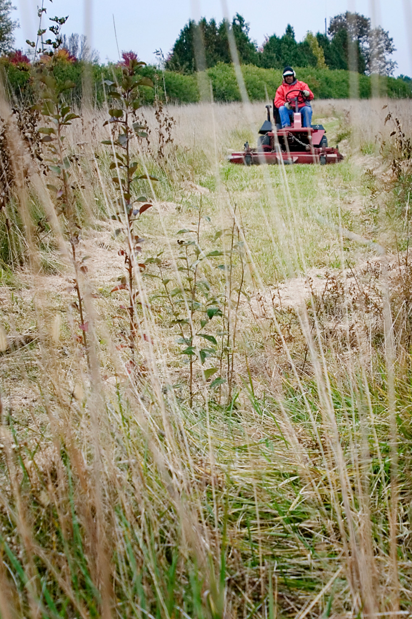 Elous Morgan, a mowing con?tractor, mows a path along a natural habitat walkway at Grissom Air Reserve Base, Ind., Oct. 30, 2013. The habitat trail was born out of an initiative to save fuel costs by reducing mowing areas on base. (U.S. Air Force photo/Tech. Sgt. Douglas Hays)