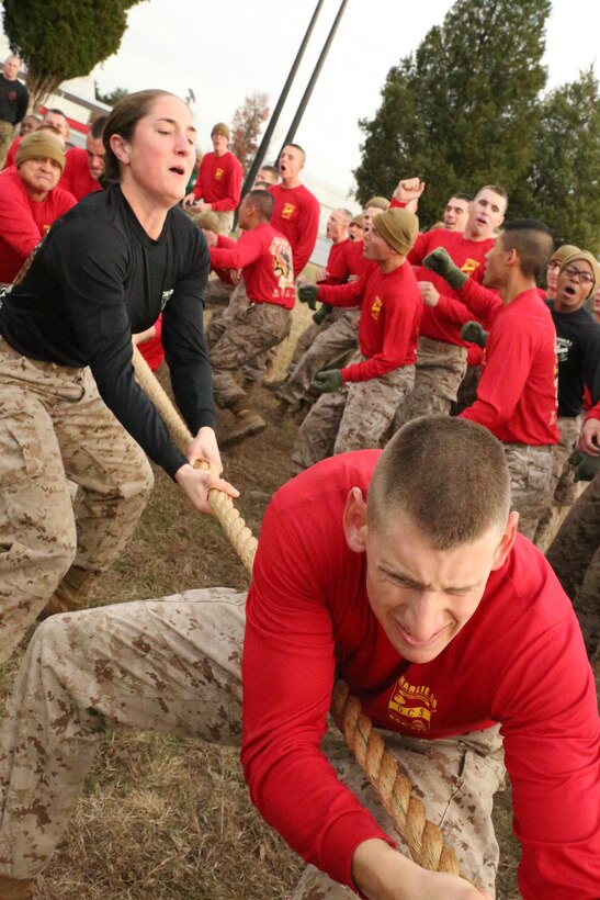 Marine candidates participate in a tug-of-war event during a field meet at Officer Candidates School on Nov. 21, 2013. The field meet is one of the final events candidates participate in before graduation.