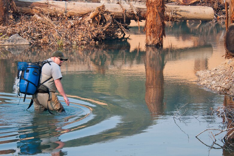 Rory Taylor, a district fish biologist, releases a net of juvenile Coho salmon at the Sonoma County Water Agency’s Dry Creek vineyard habitat enhancement site Nov. 22.