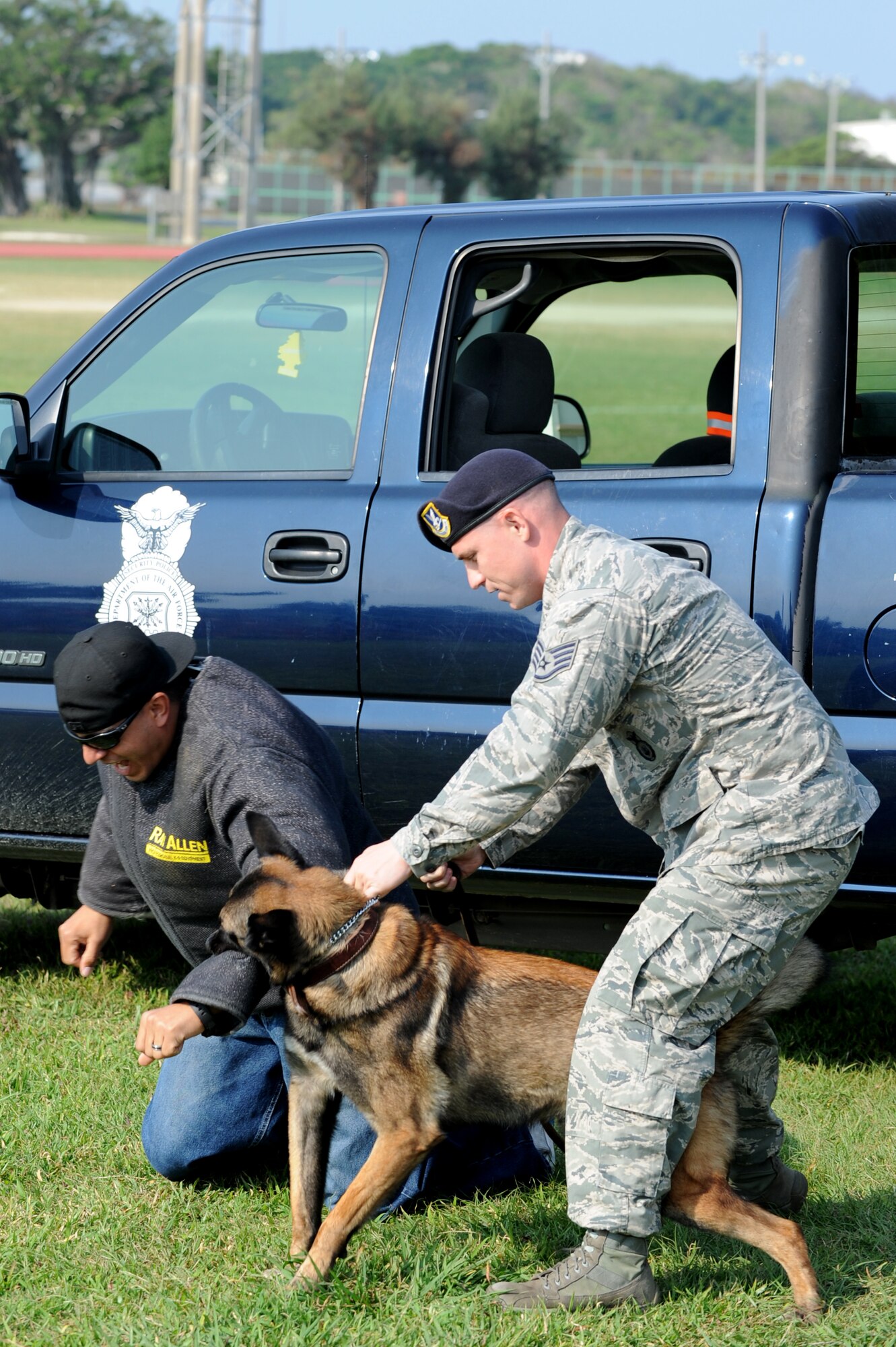 A military working dog and her handler bring down a perpetrator as part of a demonstration during Skoshi Warrior on Kadena Air Base, Japan, Nov. 23, 2013. Military working dogs are trained to attack and retrieve perpetrators who do not cooperate with law enforcement, as well as search for illegal substances. (U.S. Air Force photo by Airman 1st Class Hailey R. Davis)