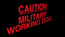 A vehicle warns individuals that there is a military working dog on duty on Hurlburt Field, Fla., Nov. 19, 2013. Military working dogs work days and nights. (U.S. Air Force photo by Senior Airman Krystal M. Garrett)
