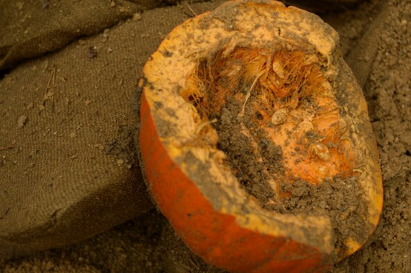 SPANGDAHLEM AIR BASE, Germany--A blasted pumpkin is displayed on the ground after an explosion during a pumpkin demo training session at the explosive ordnance disposal unit range Nov. 6, 2013. For the training, members from the EOD team detonated more than five pumpkins. (U.S. Air Force photo by Senior Airman Rusty Frank/Released)